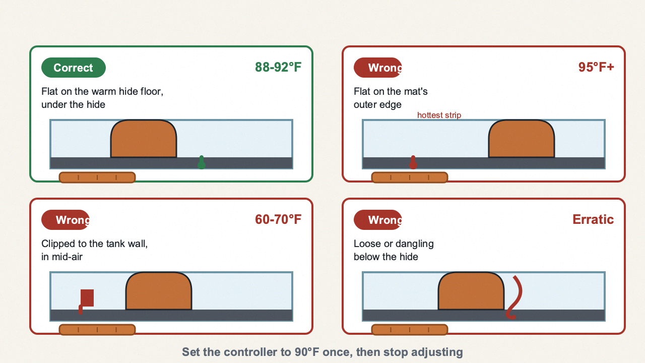 Four-panel diagram of thermostat probe placement: correct flat on the warm hide floor at 88-92°F, versus three wrong positions reading 95°F+, 60-70°F, and erratic
